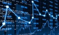 口子窖：2025年一季度净利润6